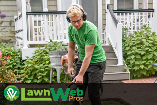 Lawn SEO Company