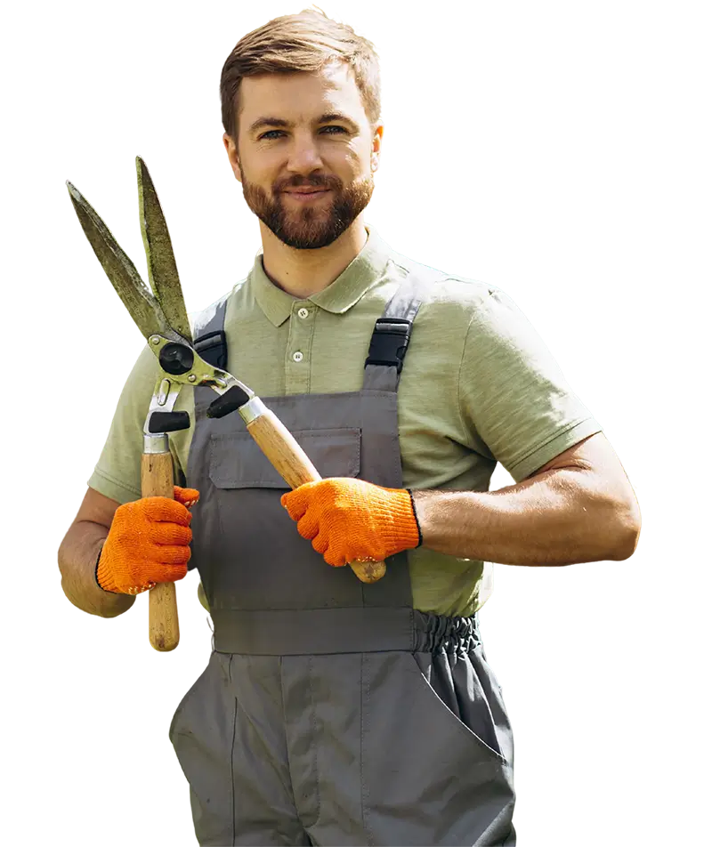 Lawn Web Pro Worker